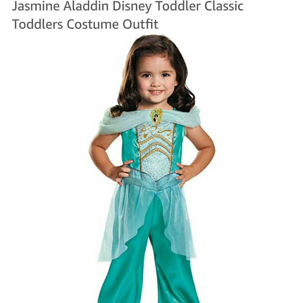 Jasmine Aladdin Costume Outfit